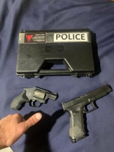 tsa guns